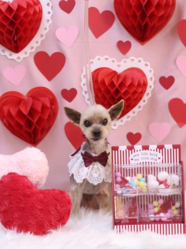 20240210ふみちゃん